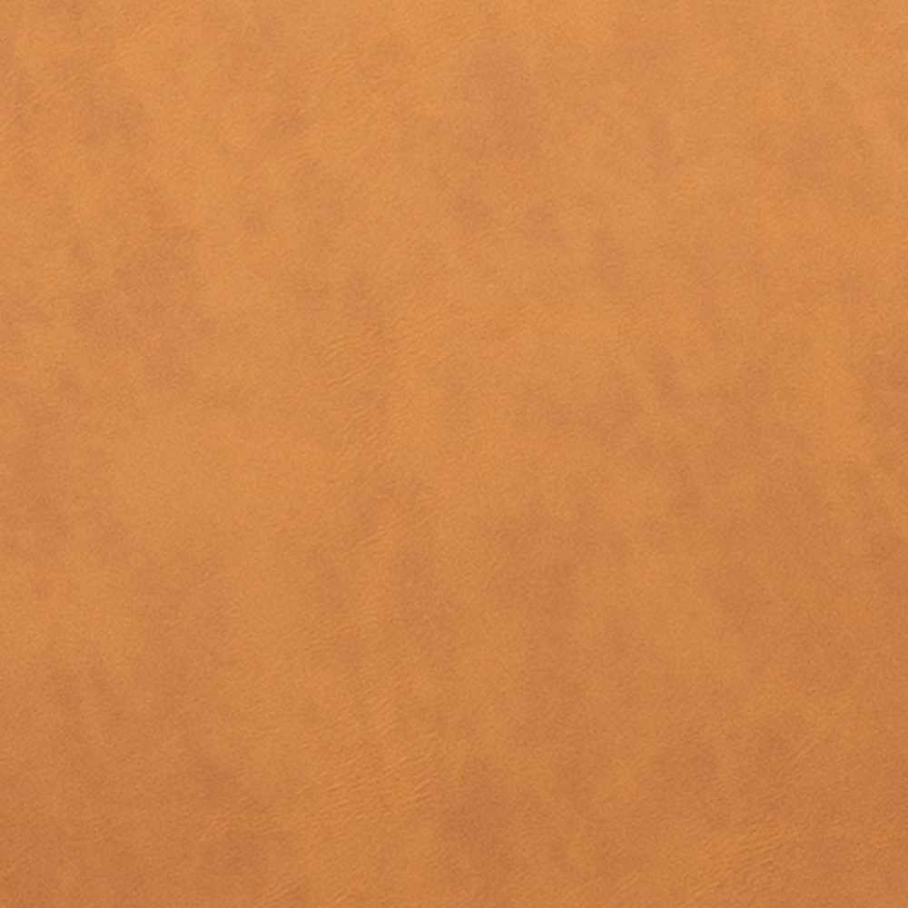 AVISSIMO Esszimmerstuhl Belessi