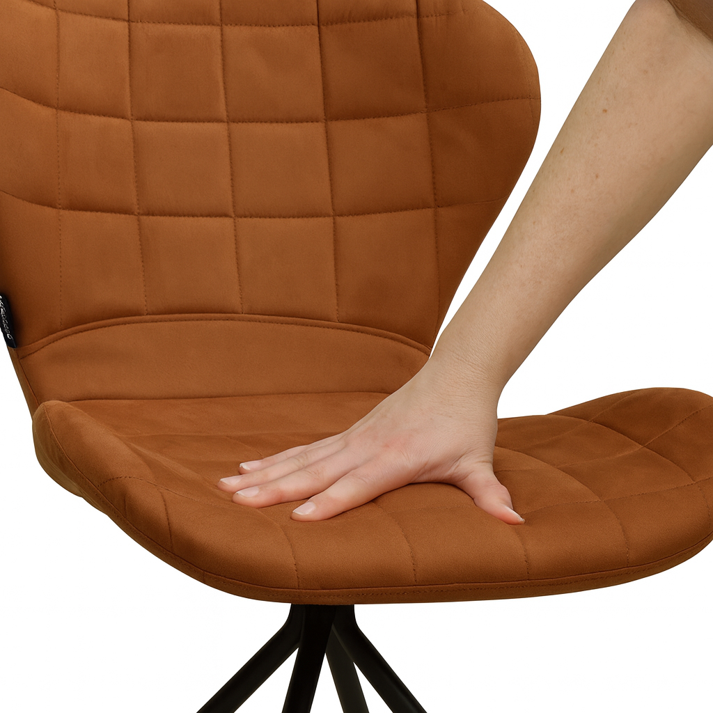 AVISSIMO Esszimmerstuhl Cireva